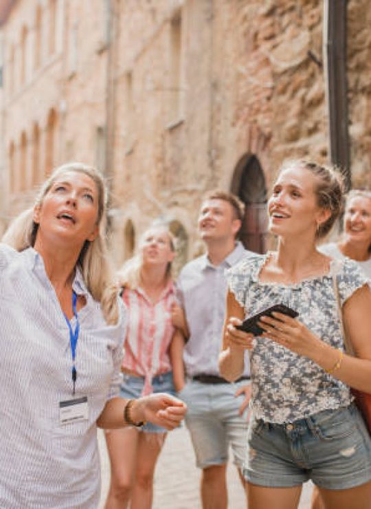 Hotel, Tours, Transfers and Much More